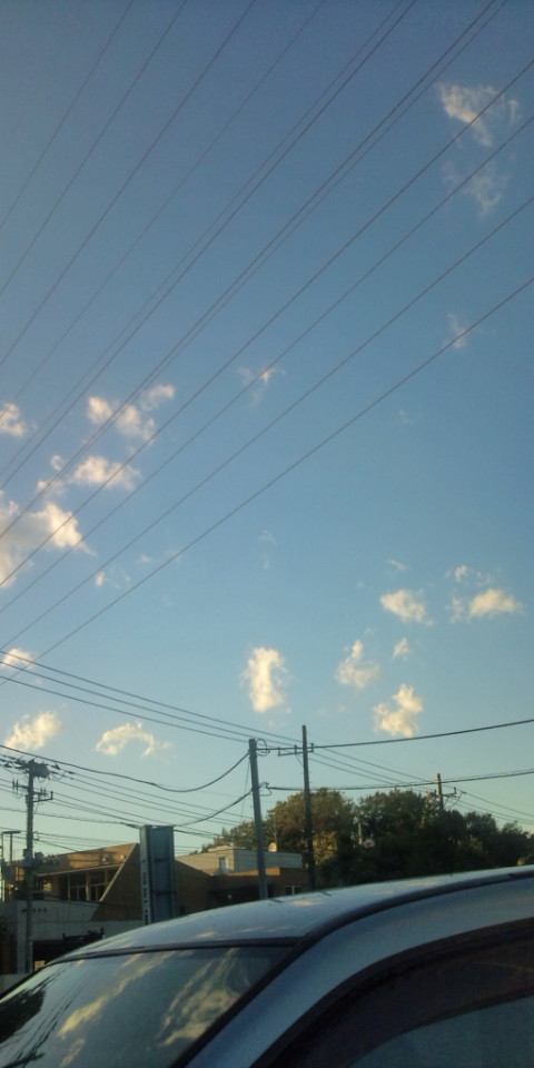 台風一過.jpg