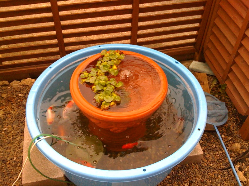 噴水.jpg