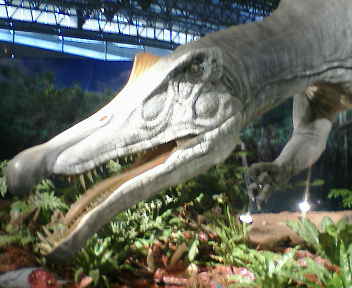 恐竜２００９②.jpg