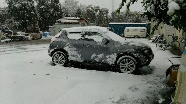 １１月の雪２.jpg